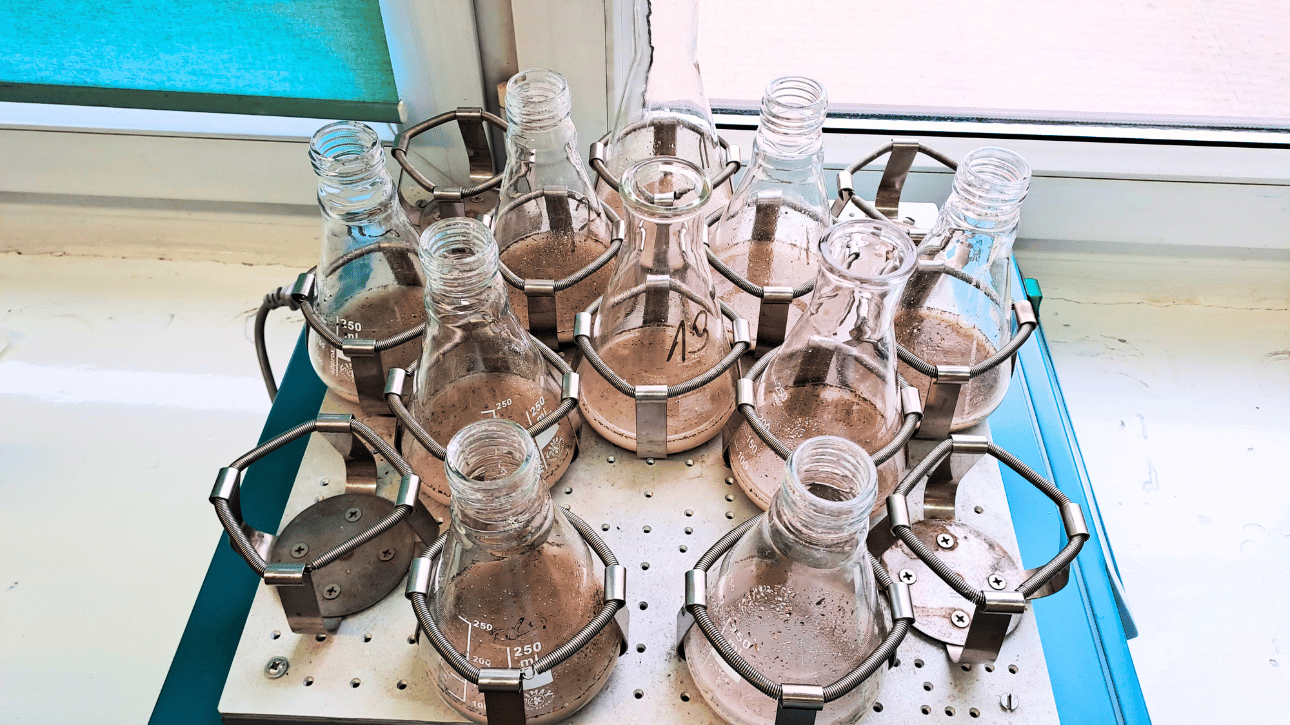 Oznaczenie zawartości skrobi w ziarnie (wrzesień-grudzień)